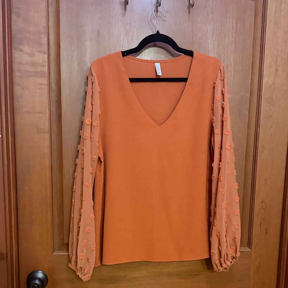 V-Neck Orange Blouse with Sheer Pom-Pom Detail